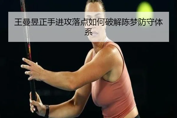 wang-man-yu-zheng-shou-jin-gong-luo-dian-ru-he-po-jie-chen-meng-fang-shou-ti-xi-2-822.jpg