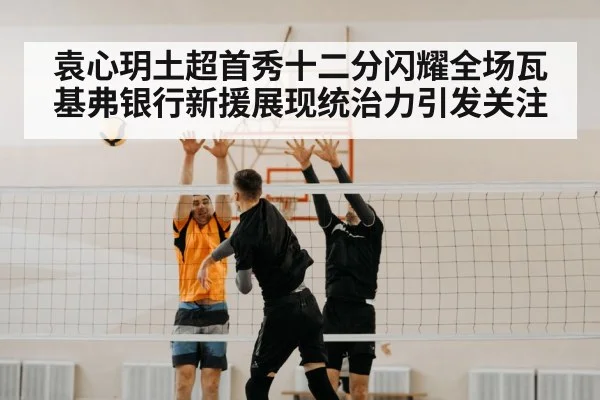 volleyball net block